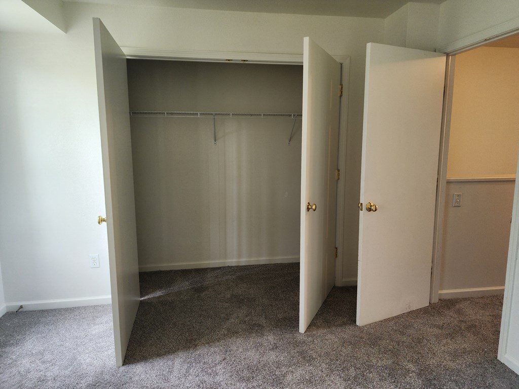 A room with a closet and a carpeted floor.