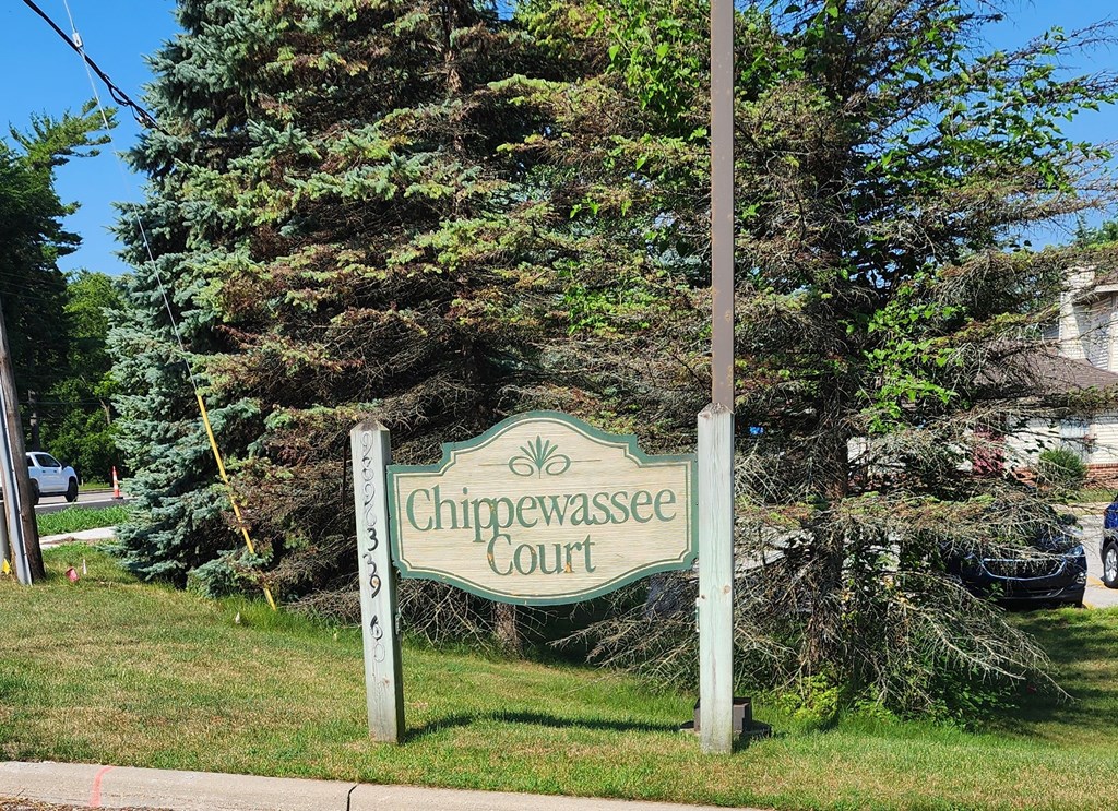A green sign that says Chippewassee Court stands in front of a tree.