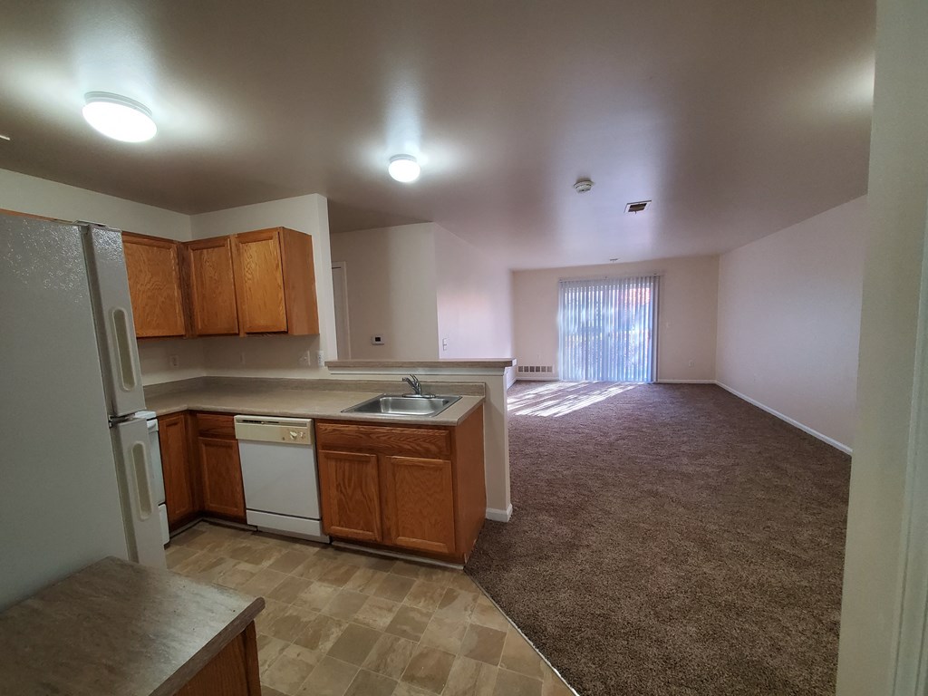 LOWER 3 BED- LIVING ROOM /KITCHEN AREA