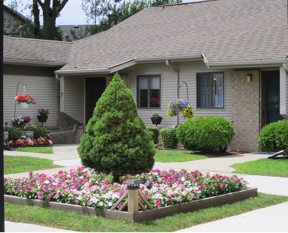 a garden in front of a house