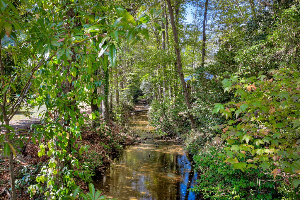 Garden Area at Forest Hills Racquet Club, Augusta, Georgia