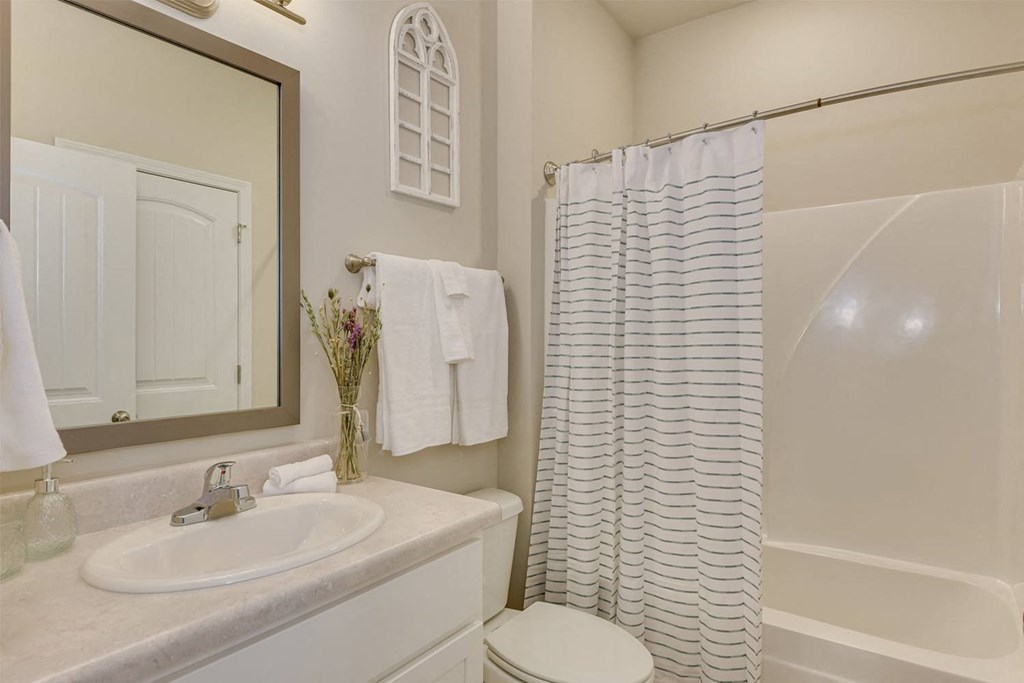 a bathroom with a shower and a sink and a mirror