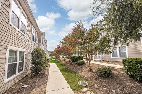 A tree with red leaves is in the middle of a grassy area between two buildings.