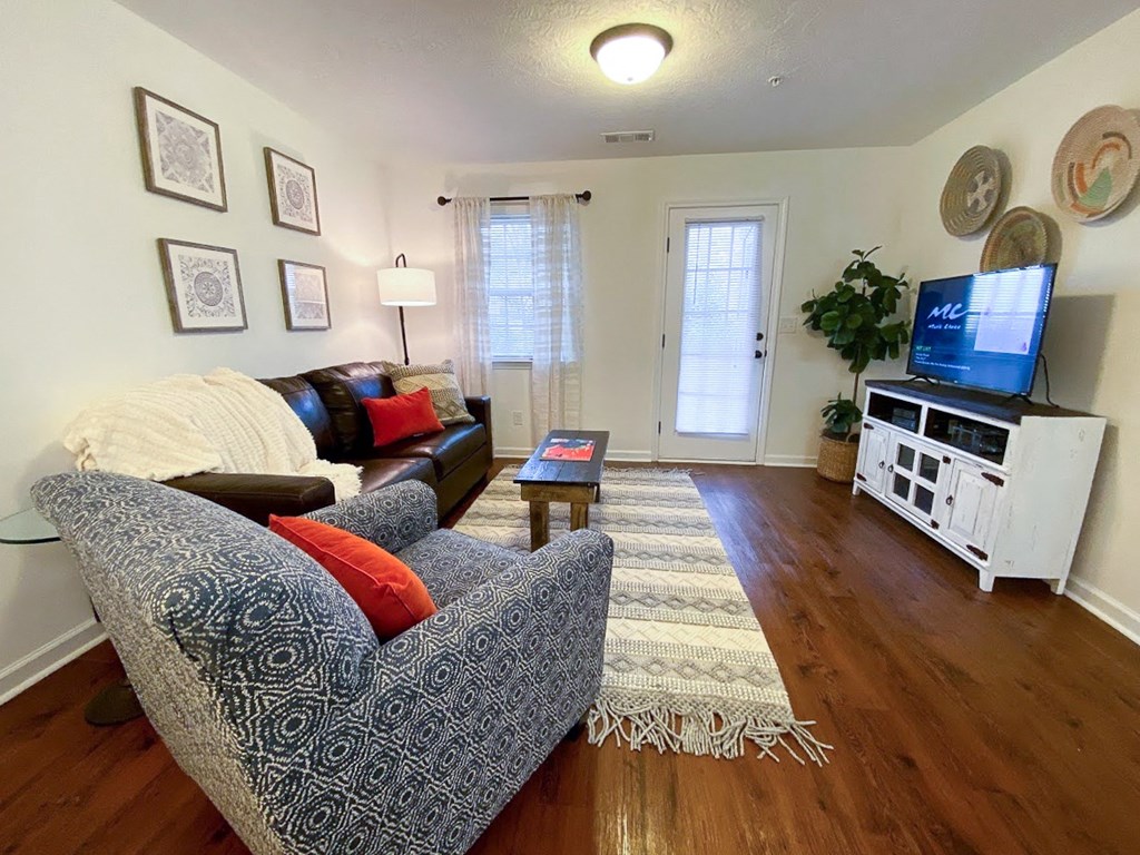 Living Room With TV at Helena Springs, Augusta Georgia