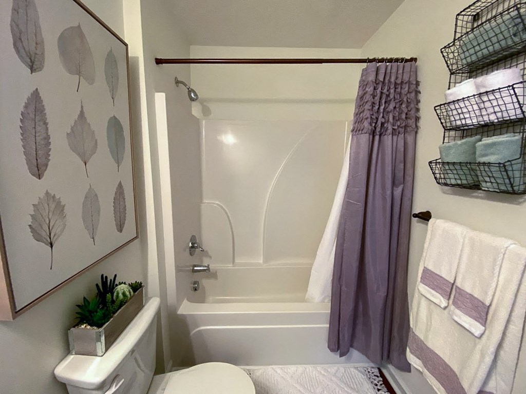 Helena Springs Model