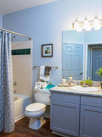 The New Madison at Adams Farm Greensboro, NC Apartments Bathroom