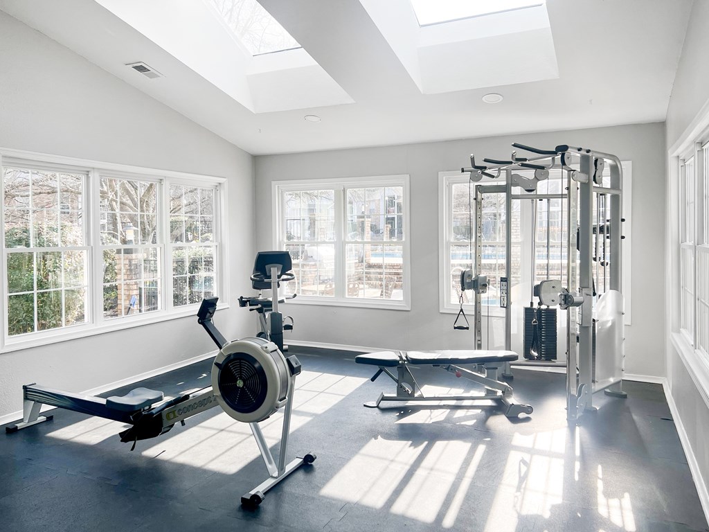 A sunlit home gym with a rowing machine, a bench, and a squat rack.