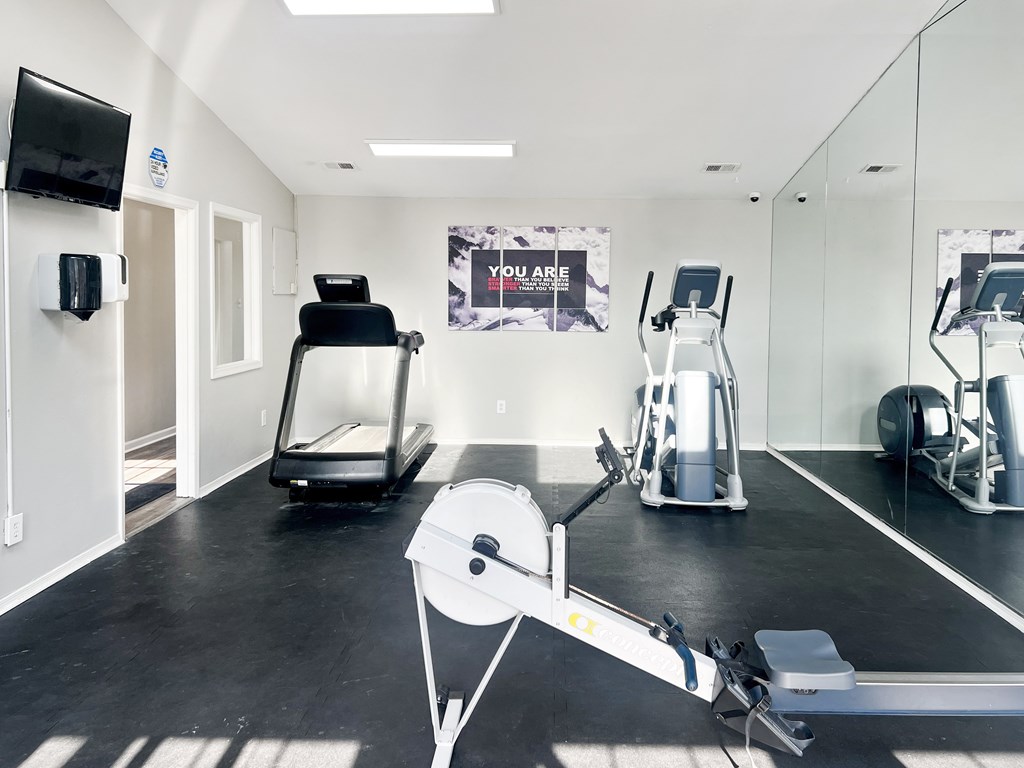 A gym with a row of treadmills and a row of exercise bikes.