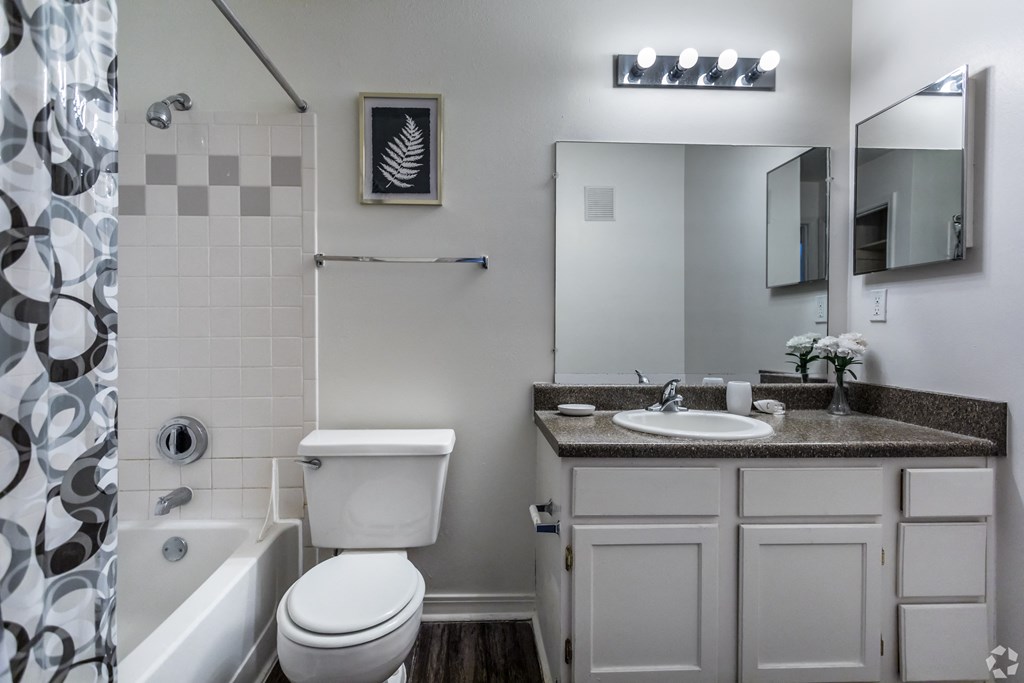 a bathroom with a sink toilet and shower and a mirror
