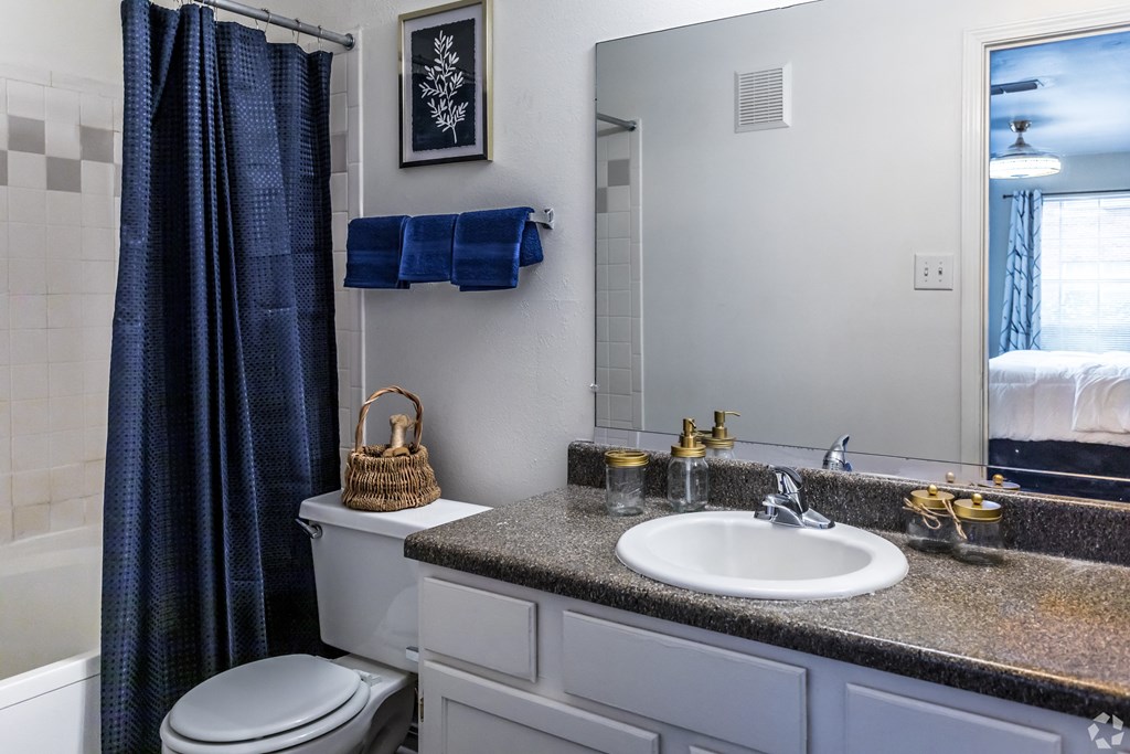 a bathroom with a sink and a mirror and a toilet