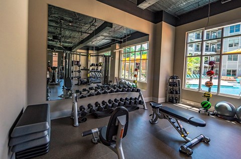 fitness weights at The Collective NoDa, North Carolina