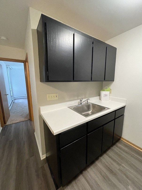 an empty kitchen with a sink and black cabinets