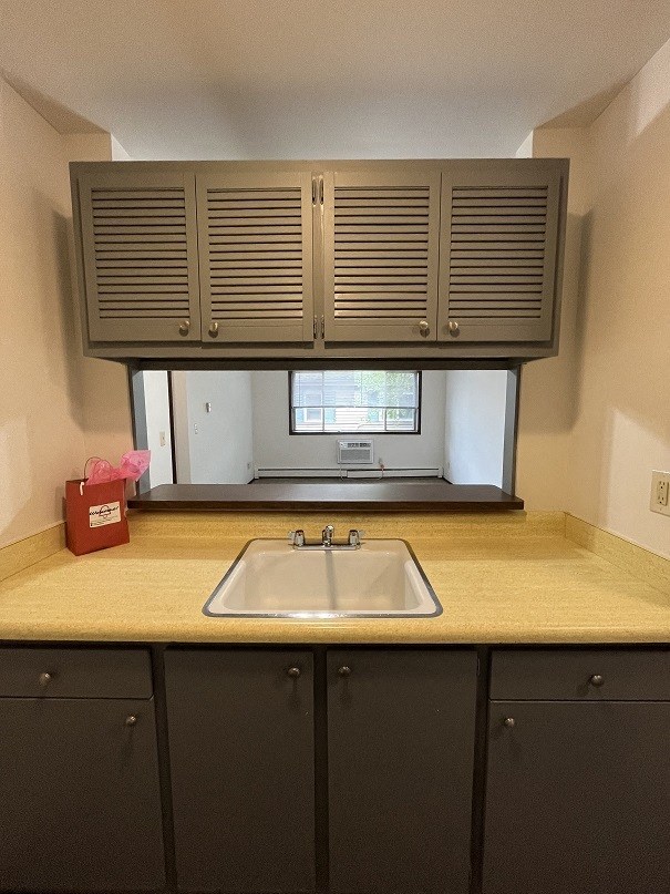 a kitchen with a sink and cabinets and a window
