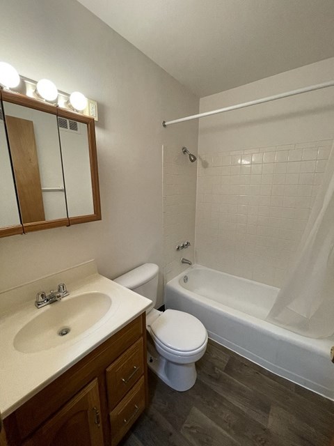 a bathroom with a sink toilet and bathtub