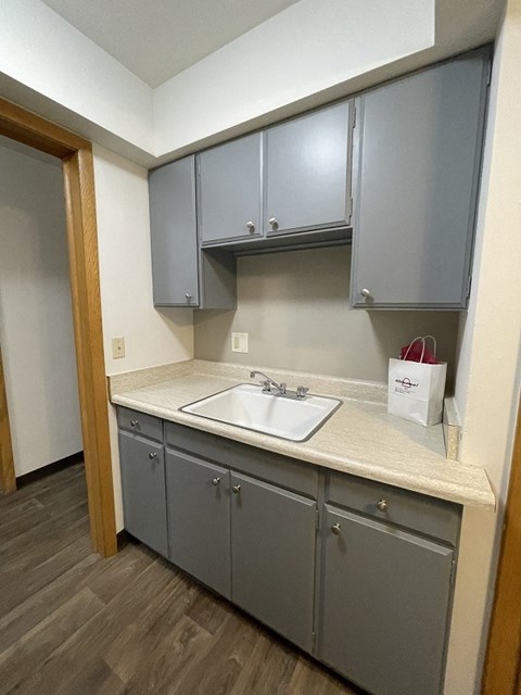 a kitchen with a sink and a bag on the counter