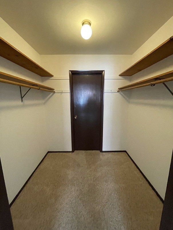 a closet with shelves and a door in a room with a carpet
