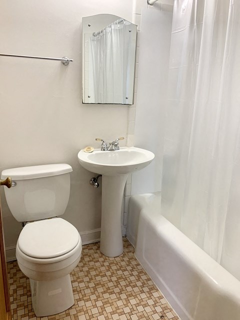 a bathroom with a toilet and a sink and a shower curtain
