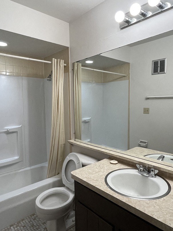 a bathroom with a sink and a toilet and a shower