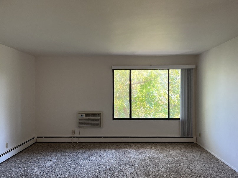 A room with a window and a carpet on the floor.