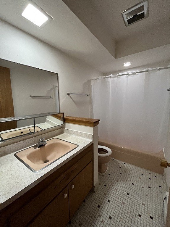 a bathroom with a sink and a toilet