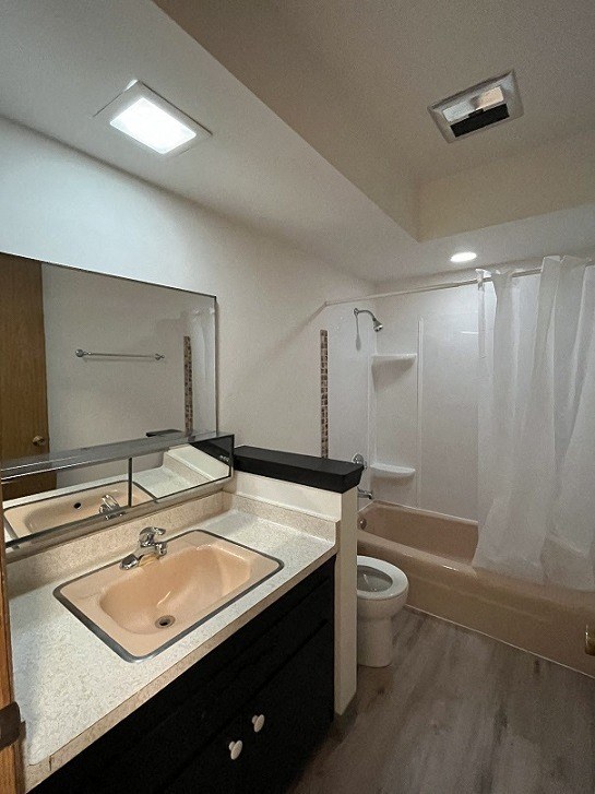a bathroom with a sink and a toilet and a shower