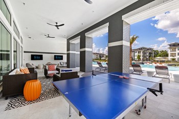 Ping pong table - Photo Gallery 31