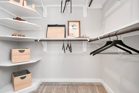 Wood shelving in the walk-in closet