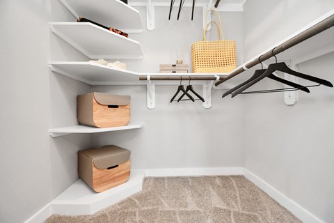 Walk-in closet with custom wood shelving