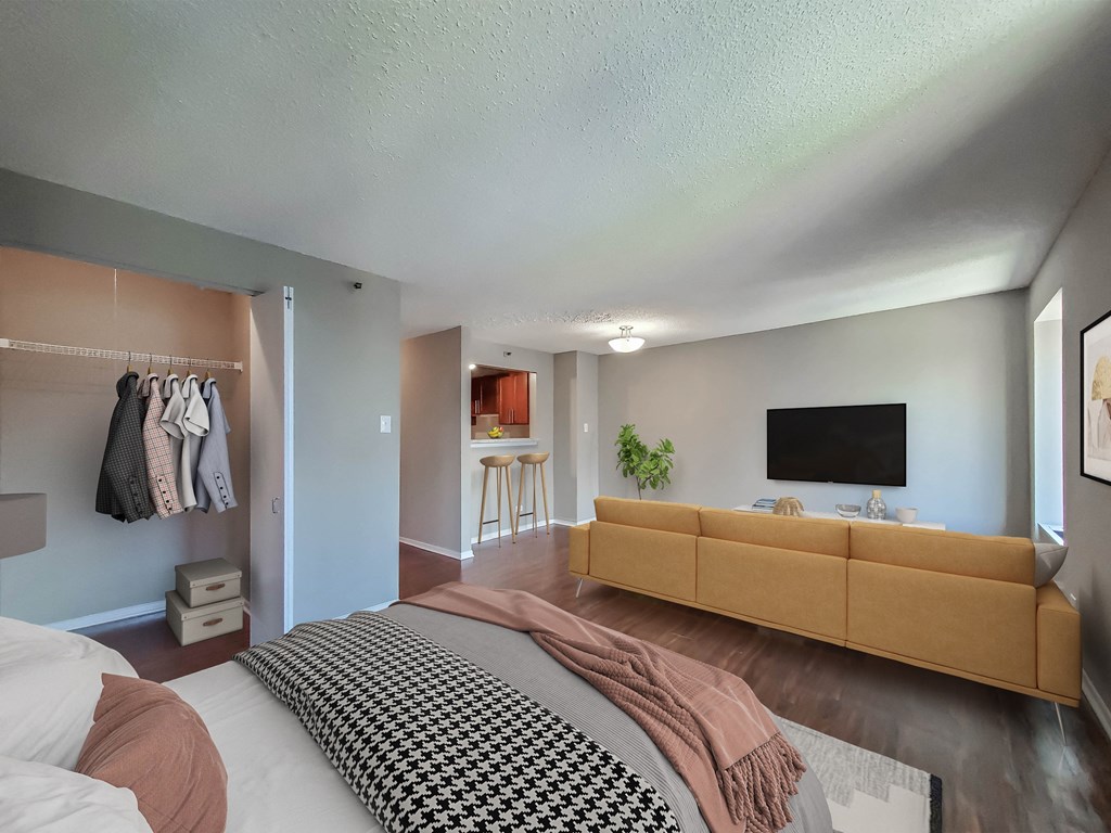 a bedroom with a couch and a bed and a tv