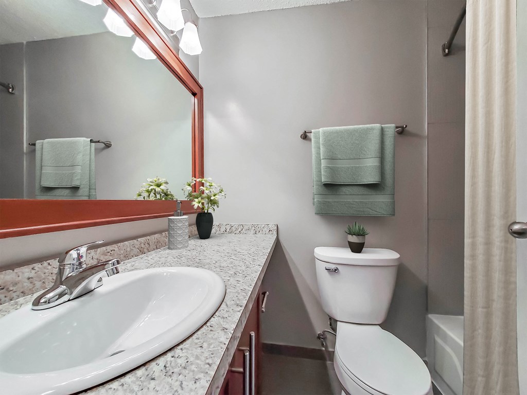 a bathroom with a sink and a toilet and a mirror