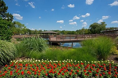 Barrington Lakes Hoffman Estates