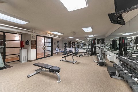 Gym with benches, cardio machines, and dumbbell rack at 65 East Scott apartments in Gold Coast Chicago.