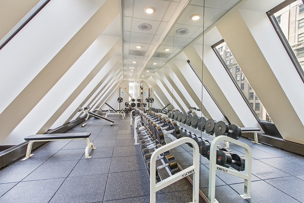 a row of weights and cardio machines in a room with large windows