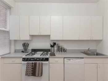 Kitchen Ravenswood Chicago Apartment Kitchen - Photo Gallery 3