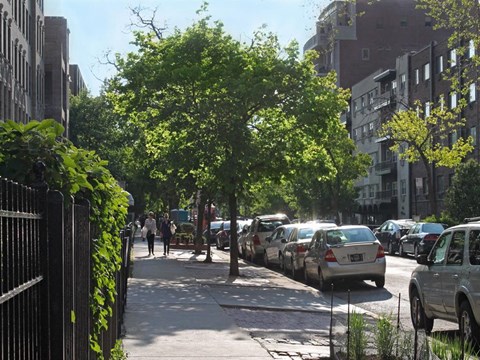 Apartments in Lakeview Chicago at Melrose Shores: tree-lined street with parked cars and apartment buildings.