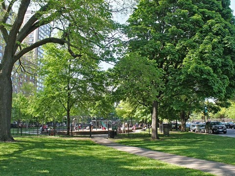 Fox Luxury Apartments - Chicago Park District