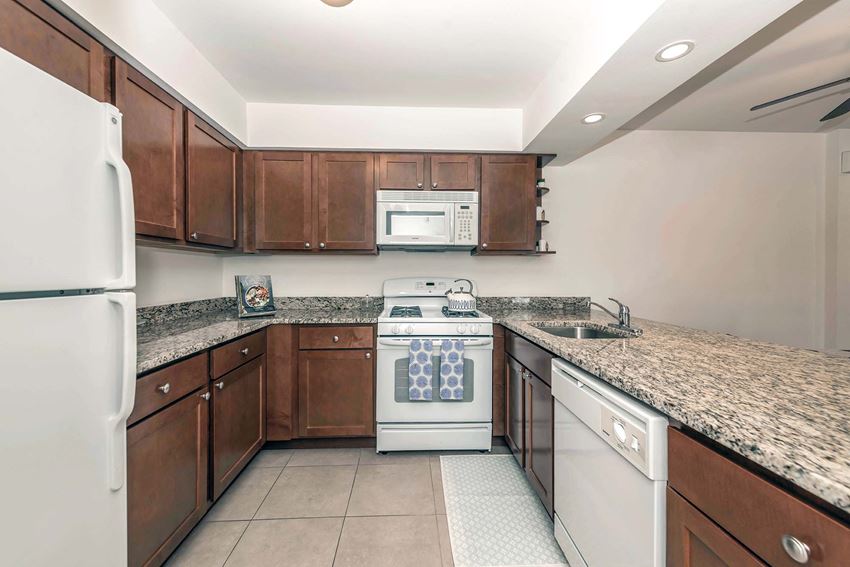 One Bedroom Floor Plan - Photo Gallery