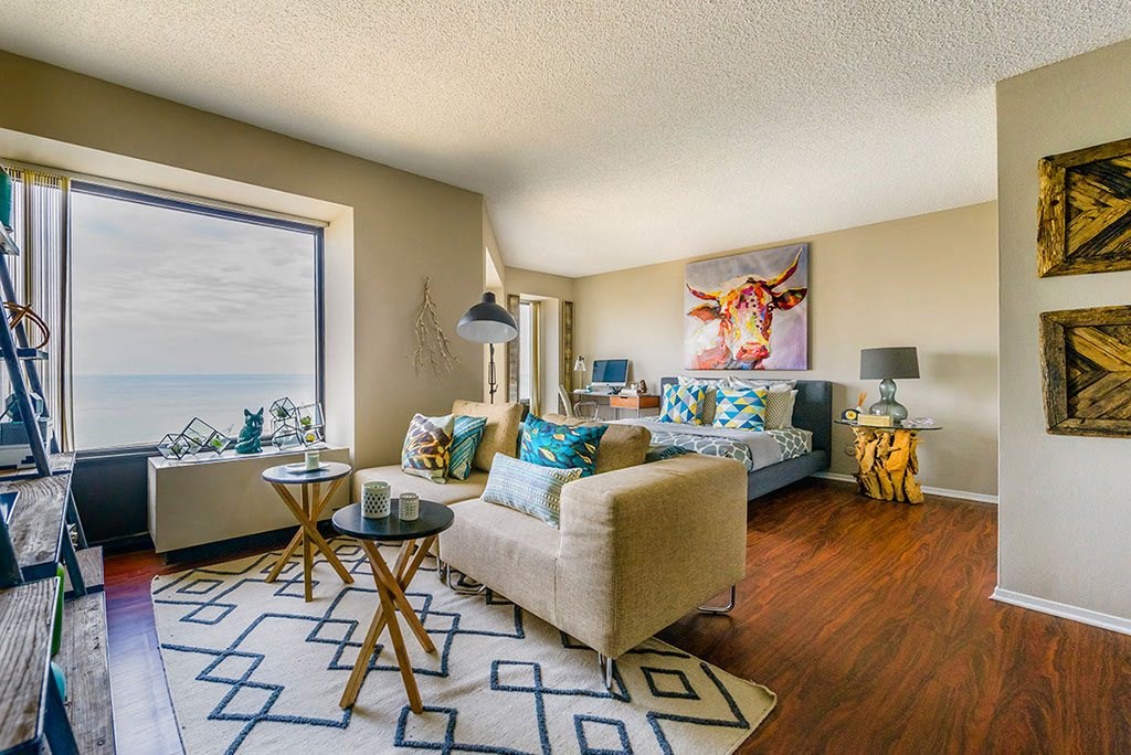 Axis Apartments Convertible Floorplan