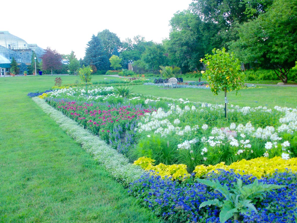 a garden of flowers in a park