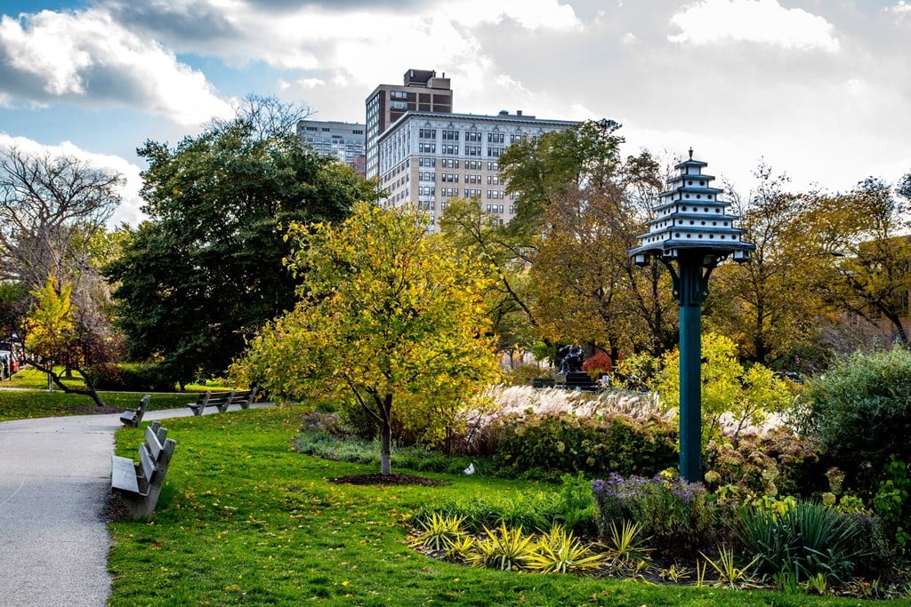 a park with a tall building in the background