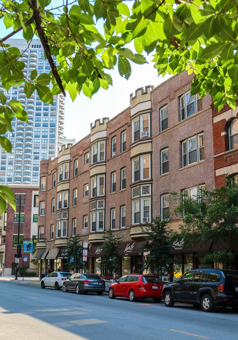 A Resident's Guide to Living in Lincoln Park - Luxury Apartments