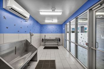a locker room with a large sink and a glass door