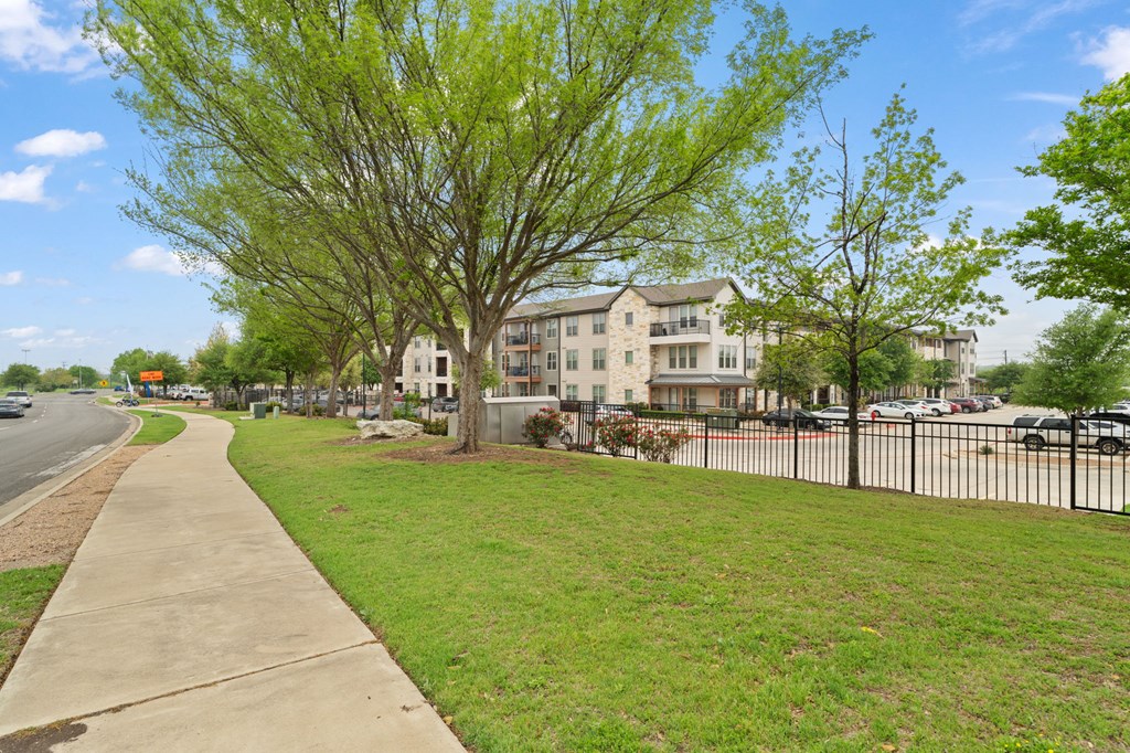 A tree with green leaves is in front of a building.