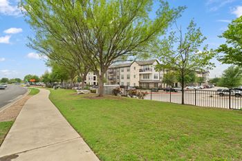 A tree with green leaves is in front of a building.