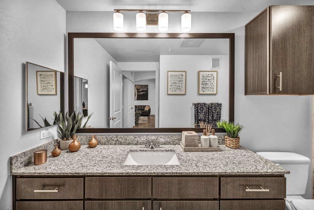 a bathroom with a sink and a mirror