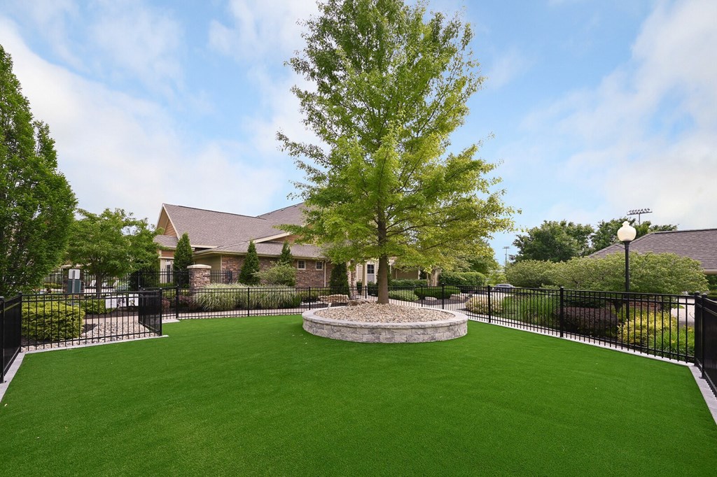 a yard with a tree and a house in the background