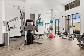 A gym with a variety of equipment including a treadmill, weights, and a bench press.