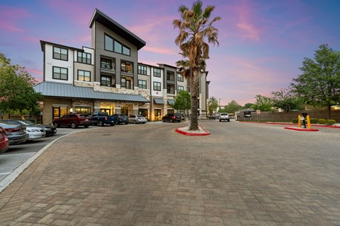 A large building with a palm tree in front of it.