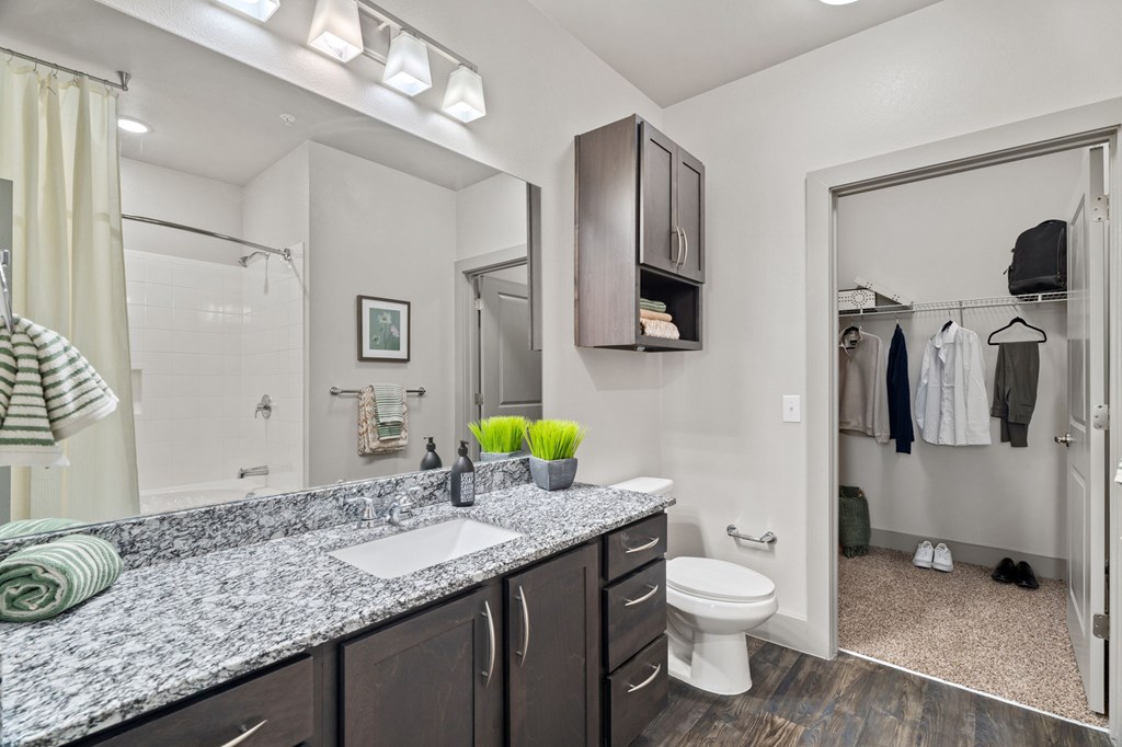 A bathroom with a sink, mirror, and toilet.