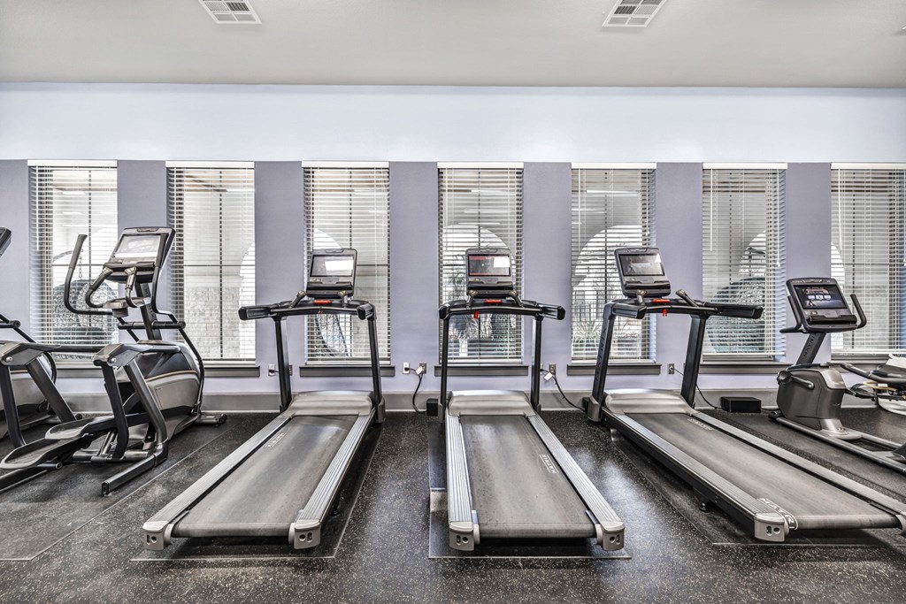 a row of treadmills in a fitness room with windows